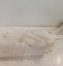 Vase de lave glace RENAULT CLIO 3 Photo n°3