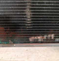 Radiateur eau CITROEN SAXO