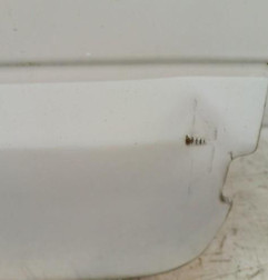 Porte de coffre droit FORD TRANSIT 4 Photo n°3