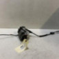 Serrure arriere droit PEUGEOT 208 1