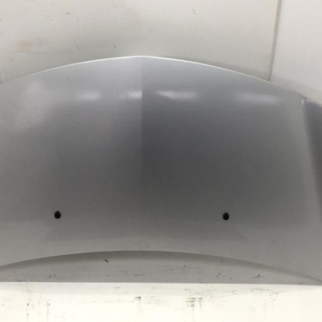 Capot RENAULT CLIO 3 Photo n°1