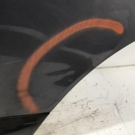 Porte arriere gauche NISSAN QASHQAI 1