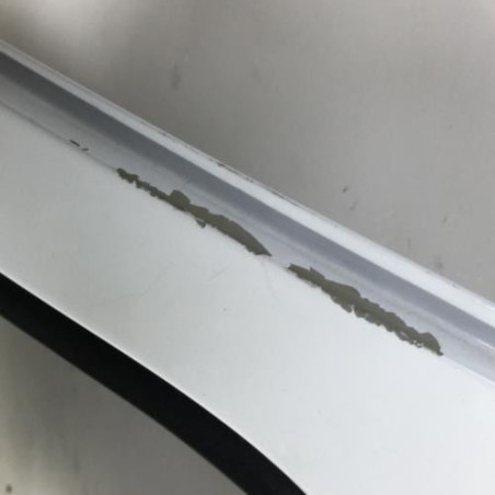 Porte arriere gauche RENAULT CLIO 2