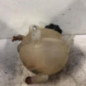 Vase d'expansion PEUGEOT EXPERT 2