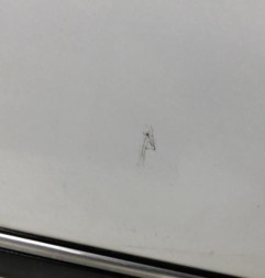 Porte avant gauche PEUGEOT 406