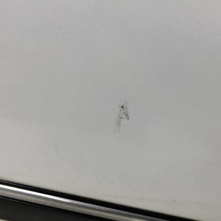 Porte avant gauche PEUGEOT 406