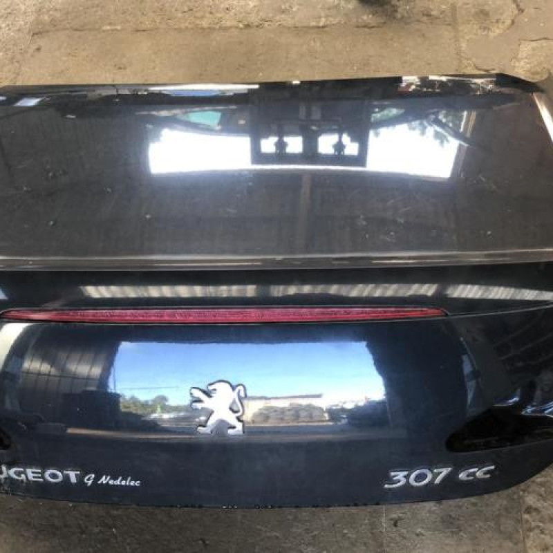 Malle/Hayon arriere PEUGEOT 307