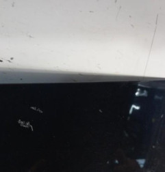 Malle/Hayon arriere SEAT IBIZA 4