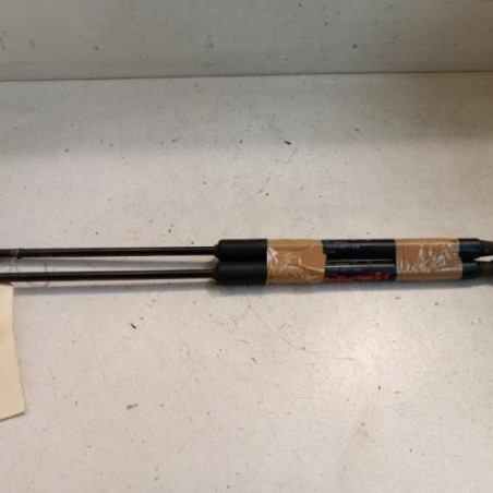Verin de coffre CITROEN C3 3