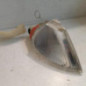 Optique avant secondaire droit (feux)(clignotant) RENAULT LAGUNA 1