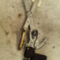 Leve vitre electrique avant droit CITROEN BX