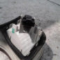 Feu arriere secondaire droit (feux) AUDI A4 2