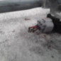 Moteur essuie glace avant TOYOTA AVENSIS 2