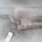 Vase de lave glace RENAULT GRAND MODUS