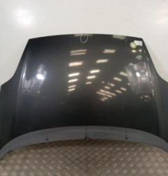 Capot FIAT PUNTO EVO 3 Photo n°1