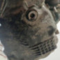 Moteur RENAULT CLIO 3