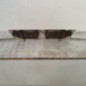 Calandre SEAT INCA