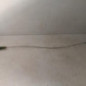 Jauge d'huile PEUGEOT 206