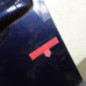 Porte avant gauche RENAULT GRAND SCENIC 2