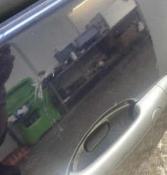 Porte arriere gauche RENAULT SCENIC 2 Photo n°4