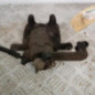 Etrier arriere gauche (freinage) PEUGEOT EXPERT 4