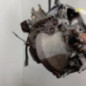 Boite de vitesses CITROEN C5 1