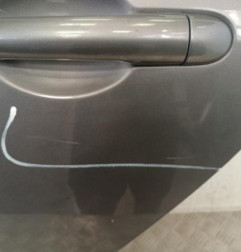 Porte arriere gauche RENAULT GRAND MODUS