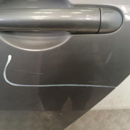 Porte arriere gauche RENAULT GRAND MODUS