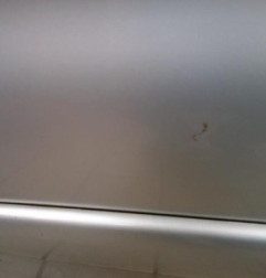 Porte avant gauche CITROEN XSARA PICASSO