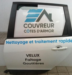 Porte arriere gauche RENAULT SCENIC 3 Photo n°1