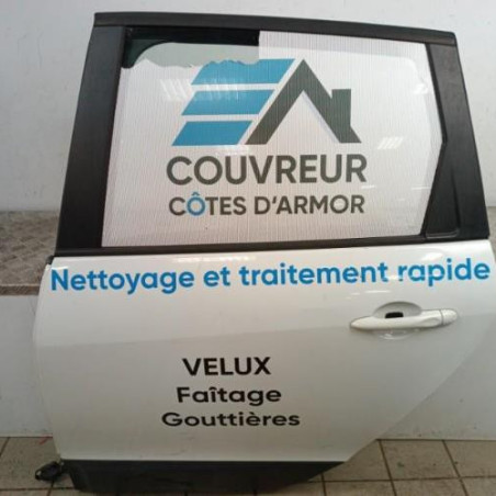 Porte arriere gauche RENAULT SCENIC 3 Photo n°1
