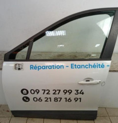 Porte avant gauche RENAULT SCENIC 3 Photo n°1