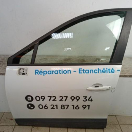 Porte avant gauche RENAULT SCENIC 3 Photo n°1