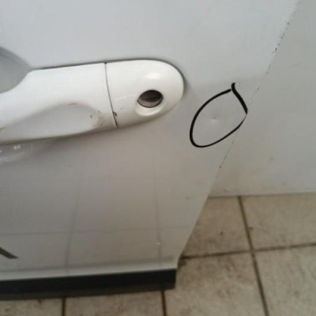 Porte avant gauche RENAULT SCENIC 3