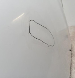 Capot RENAULT CLIO 2 Photo n°4