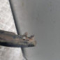Pare choc avant CITROEN C4 GRAND PICASSO 1