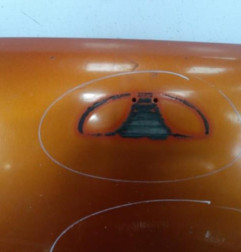 Capot DAEWOO MATIZ 1 Photo n°6
