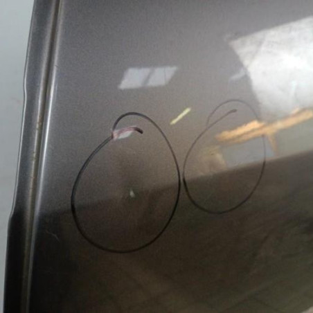 Porte arriere gauche RENAULT MODUS