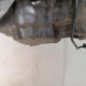 Moteur RENAULT CAPTUR 1