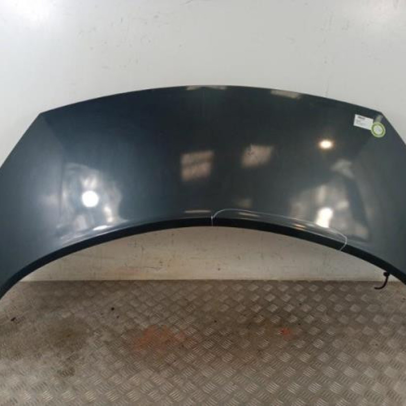 Capot RENAULT SCENIC 2