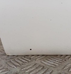 Porte avant gauche OPEL INSIGNIA 1 Photo n°4