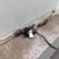 Cremaillere assistee PEUGEOT 208 1