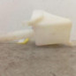 Vase de lave glace FORD RANGER 4