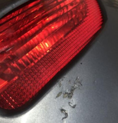 Pare choc arriere CITROEN C4 1 Photo n°4