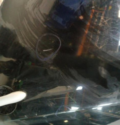 Porte arriere gauche RENAULT MEGANE 3
