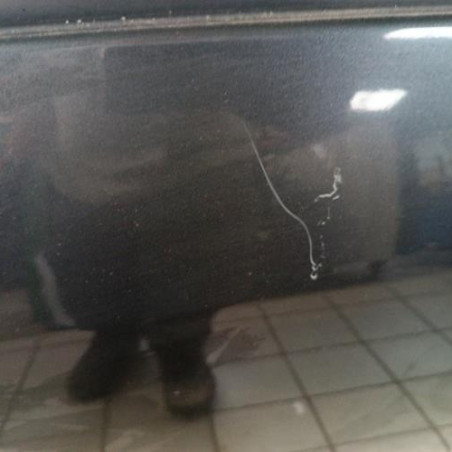 Porte arriere gauche KIA CARENS 3