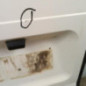 Porte de coffre gauche FORD TRANSIT 3