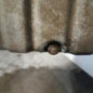 Moteur FORD FIESTA 4
