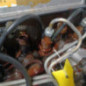 Moteur FORD FIESTA 4