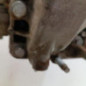 Boite de vitesses CITROEN C5 1